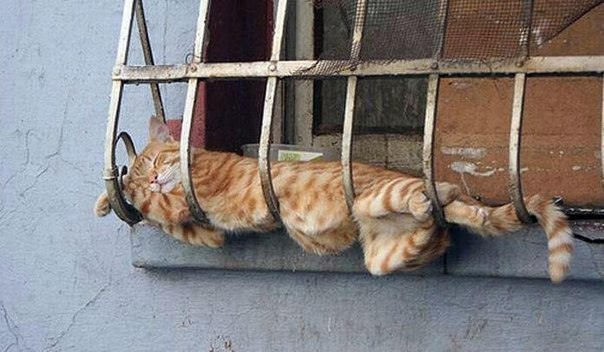 Николай Аверьков | 