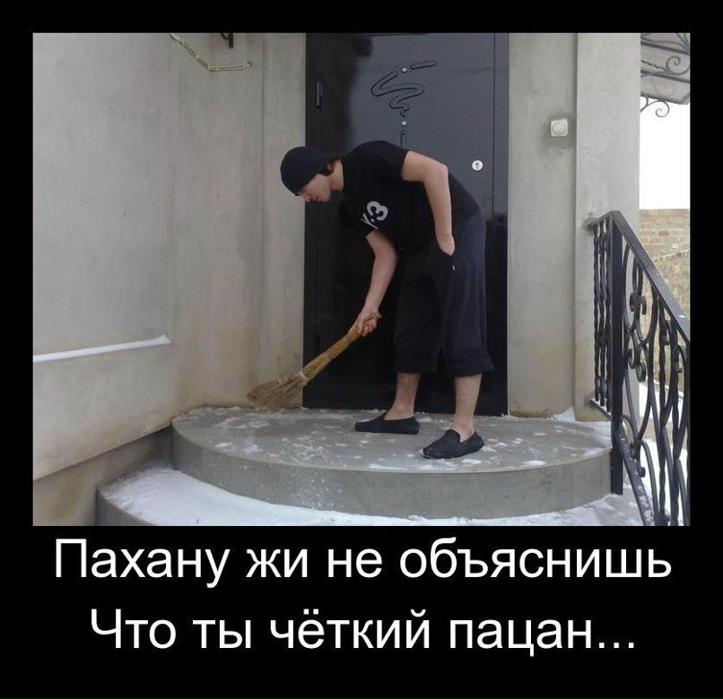 Максим Максимов Х888АМ 88 | Москва