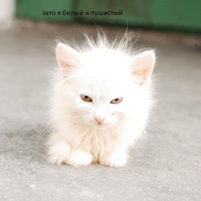 Михаил Юдин | Бугульма