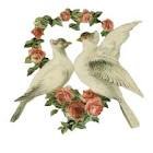 Фарида Джанын | 