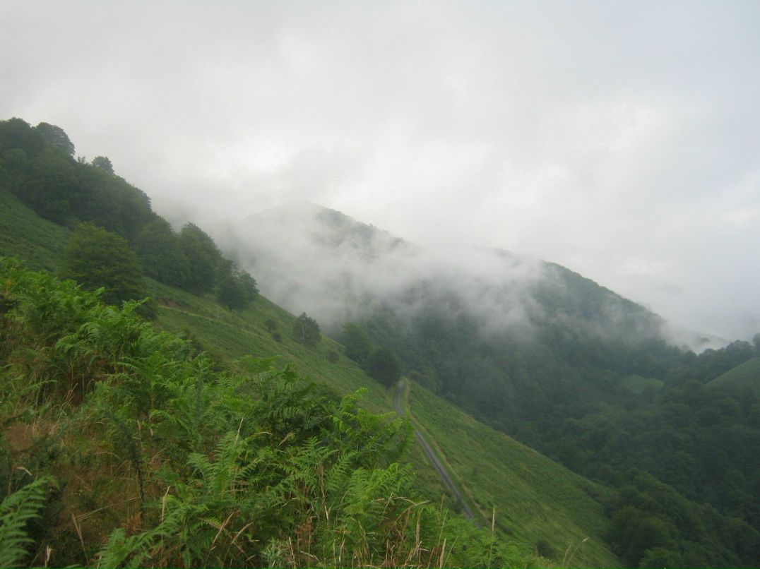 Светлана Иванова | Санкт-Петербург