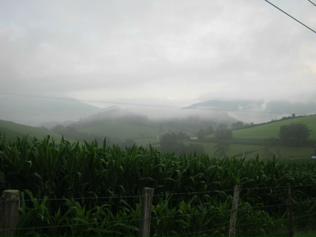 Светлана Иванова | Санкт-Петербург