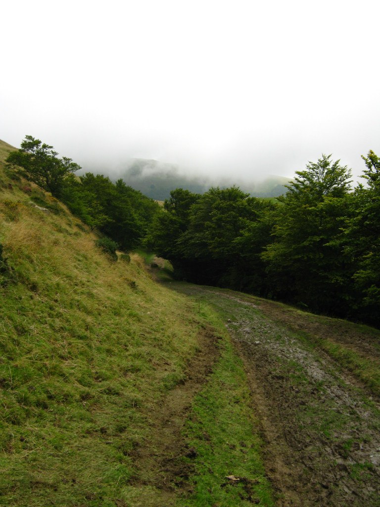 Светлана Иванова | Санкт-Петербург