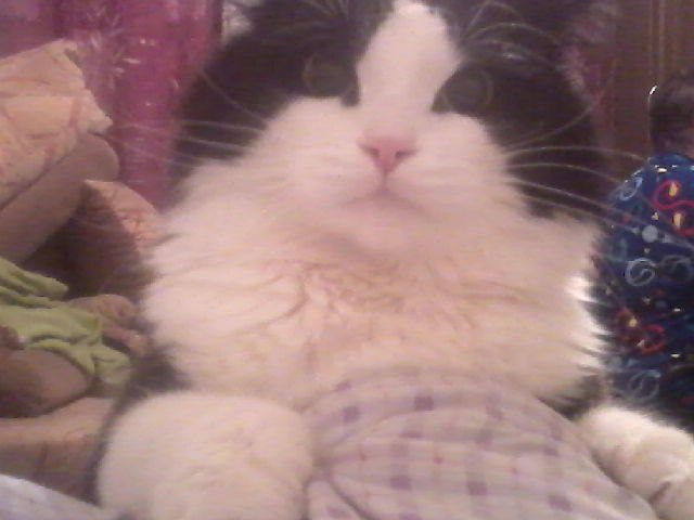 Ксюша Комарова | Армянск