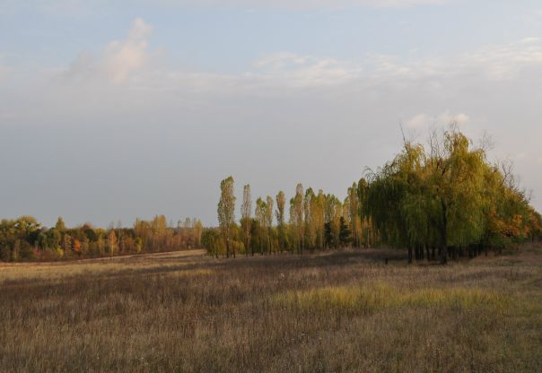 №13, Николай Axe №13, Николай Axe