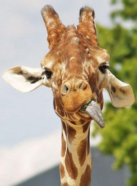 Анна Лебедева | Сортавала