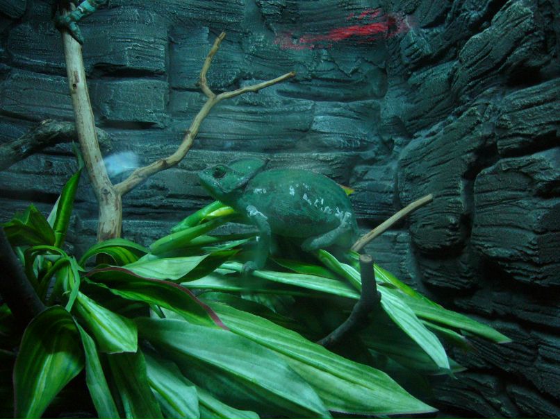 Александр Сидоров | Одинцово