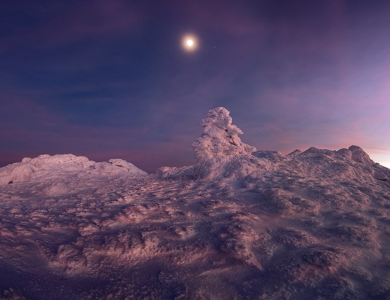 Валерий Тимошенко | Киев