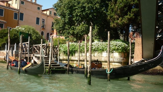 Екатерина Задорожная | Москва