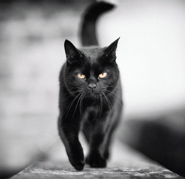 Ирина Ищенко | Киев