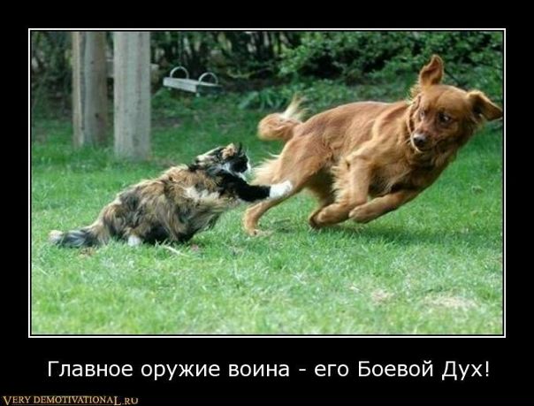 Лера Наумова фото со стены #6