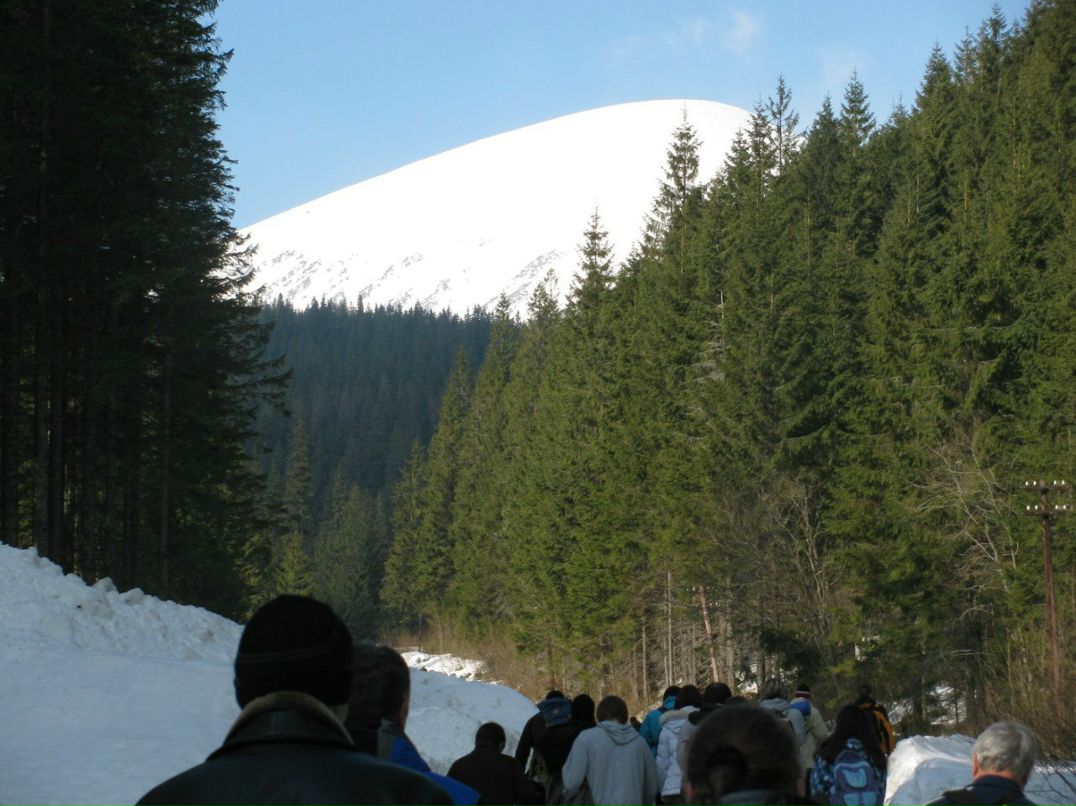 Діма Кохан | 