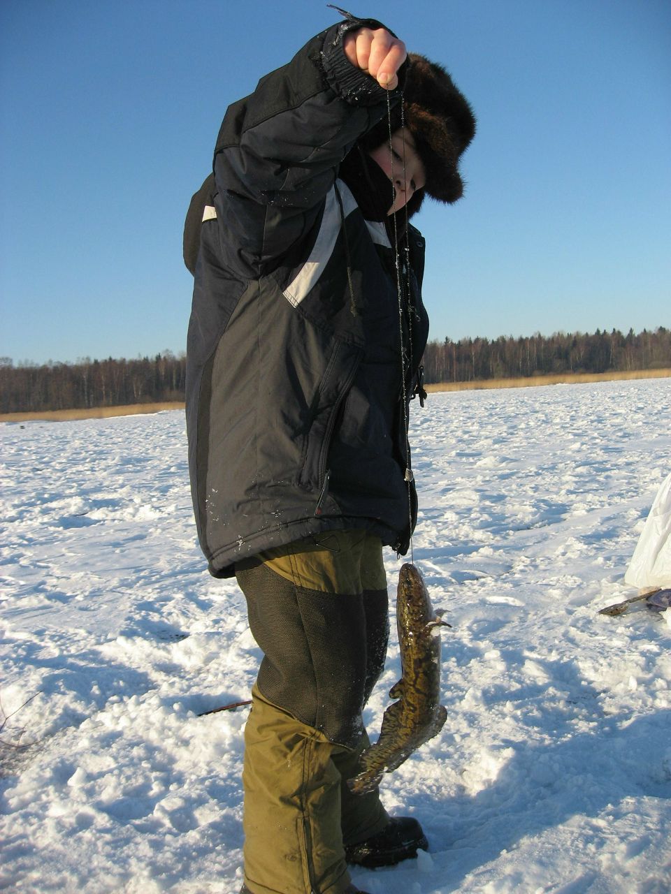 Владимир Павлов | 