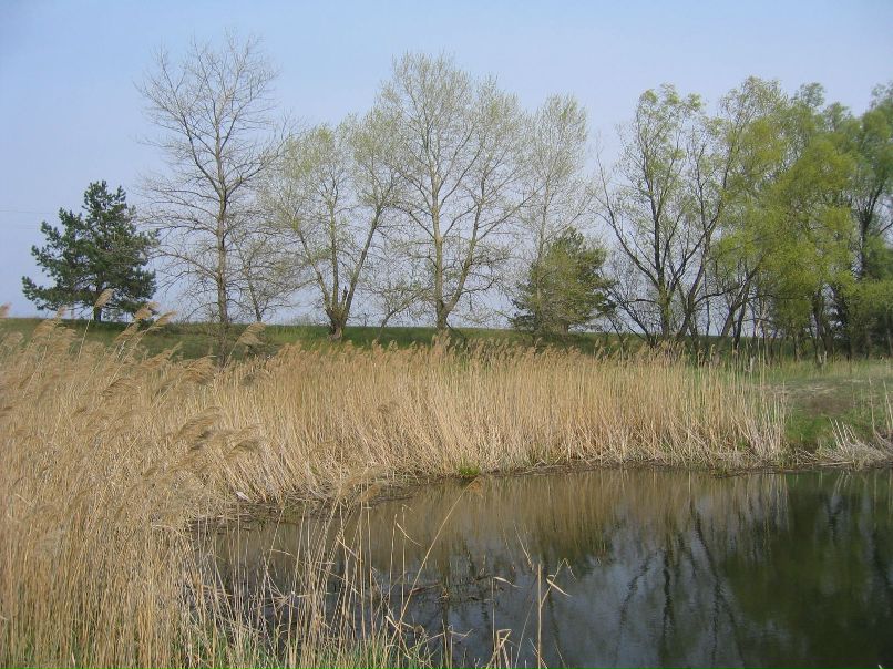 Алексей Теплов | Wrocław