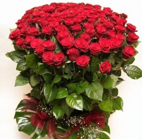 Оля Петрова | Санкт-Петербург