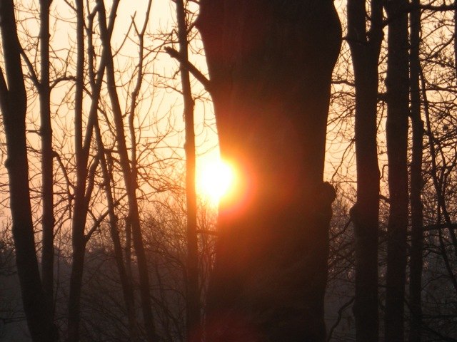 Владимир Сурков | 