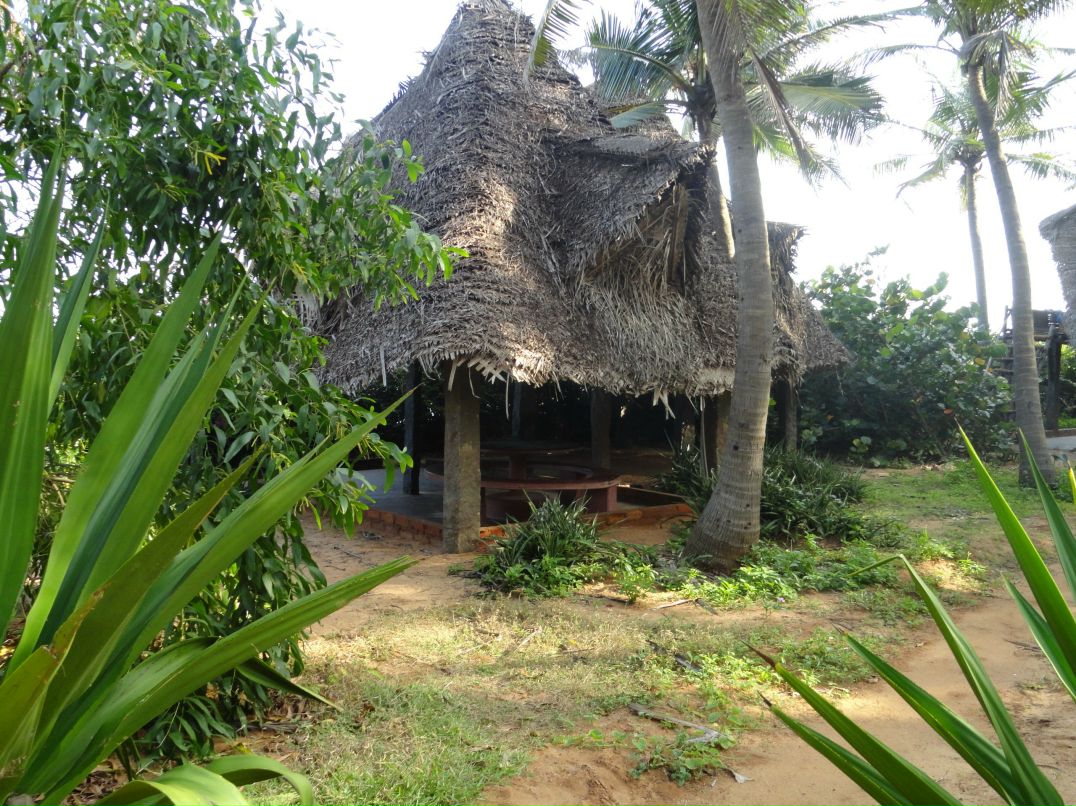 Полина Отке | Санкт-Петербург