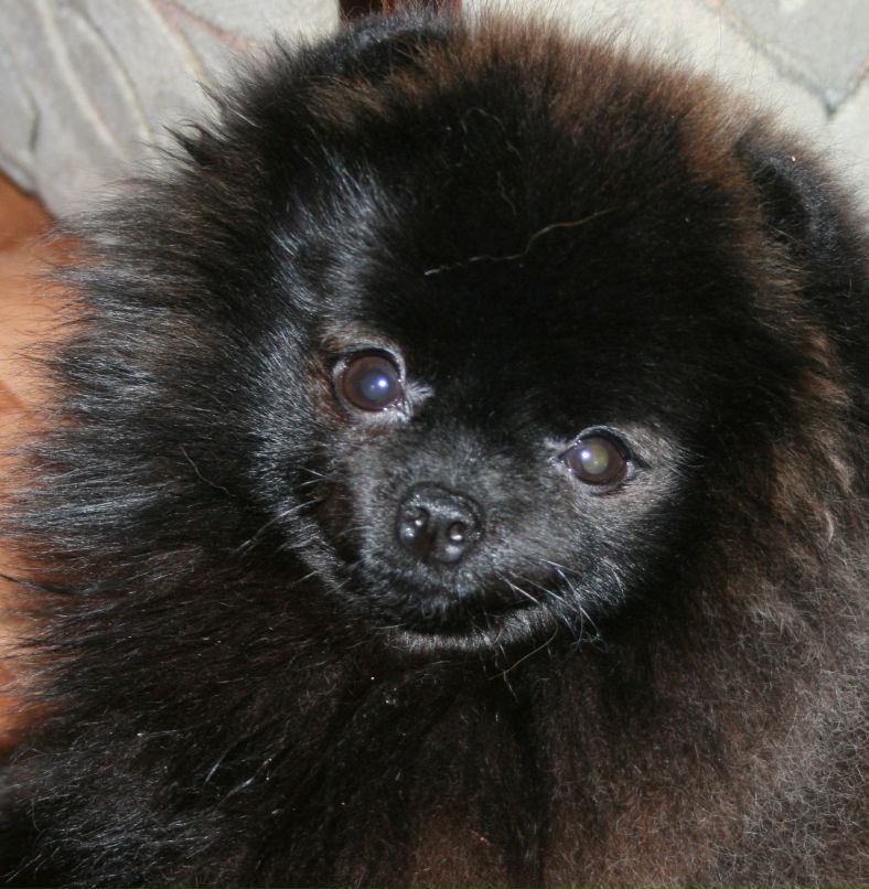 Марина Солецкая | Санкт-Петербург