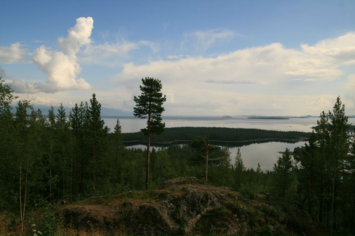 Нюта Кас La Bohémienne | 