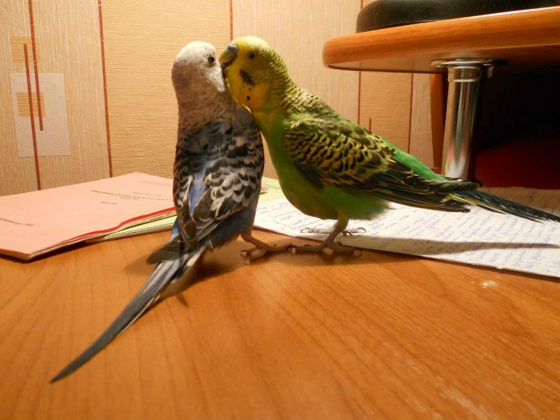 Екатерина Исрафилова | Екатеринбург