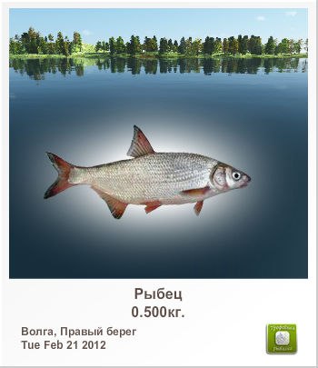 Сергей Корсунский | Харьков