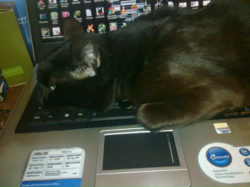 Евгений Ччч | Арзамас