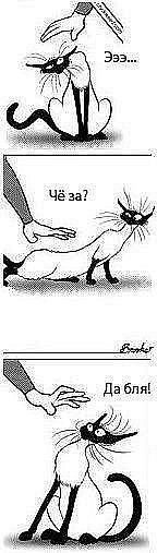 Лена Николаева | Николаев