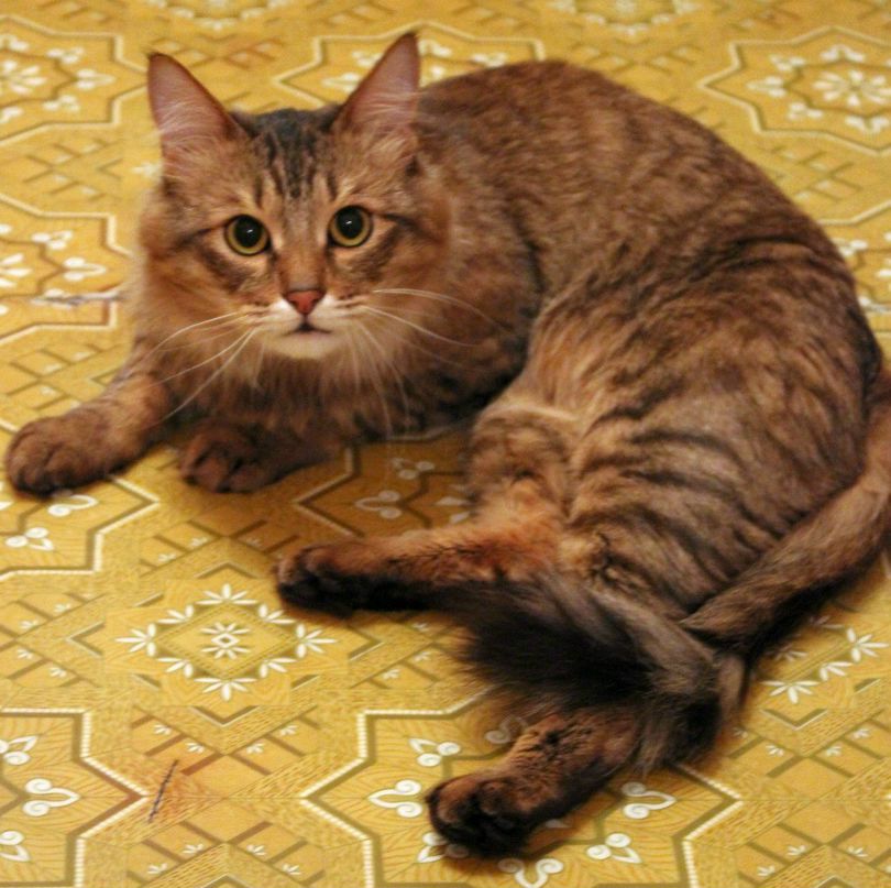 Сергей Слесаренко | Димитровград