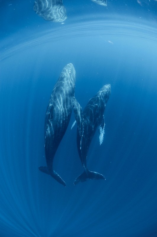 Александр Ковтунов | Иркутск