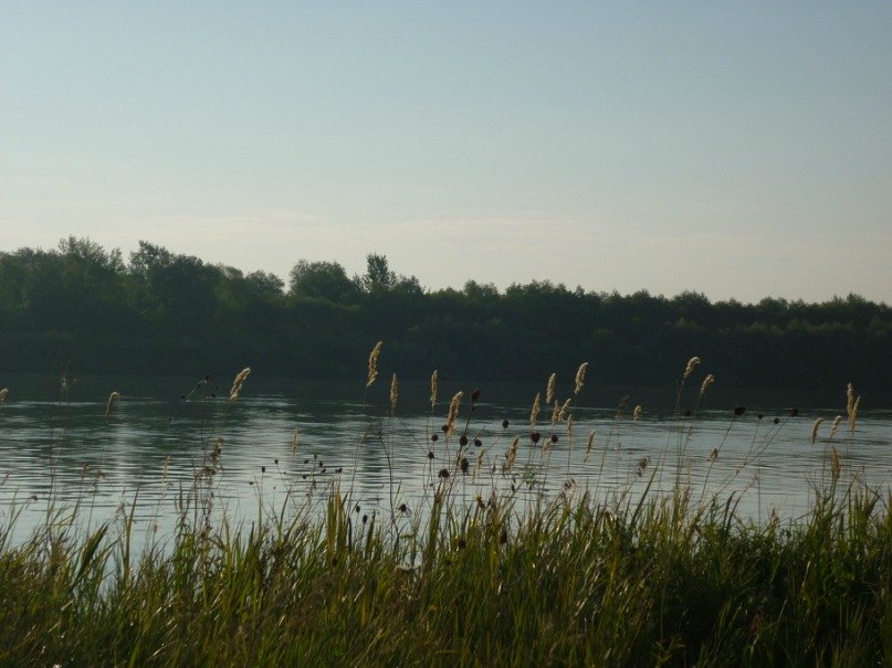 Евгений Нагорный Николаевич | Омск