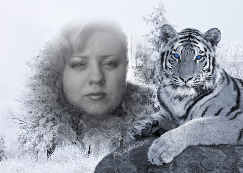 Оксана Асеева | Курск