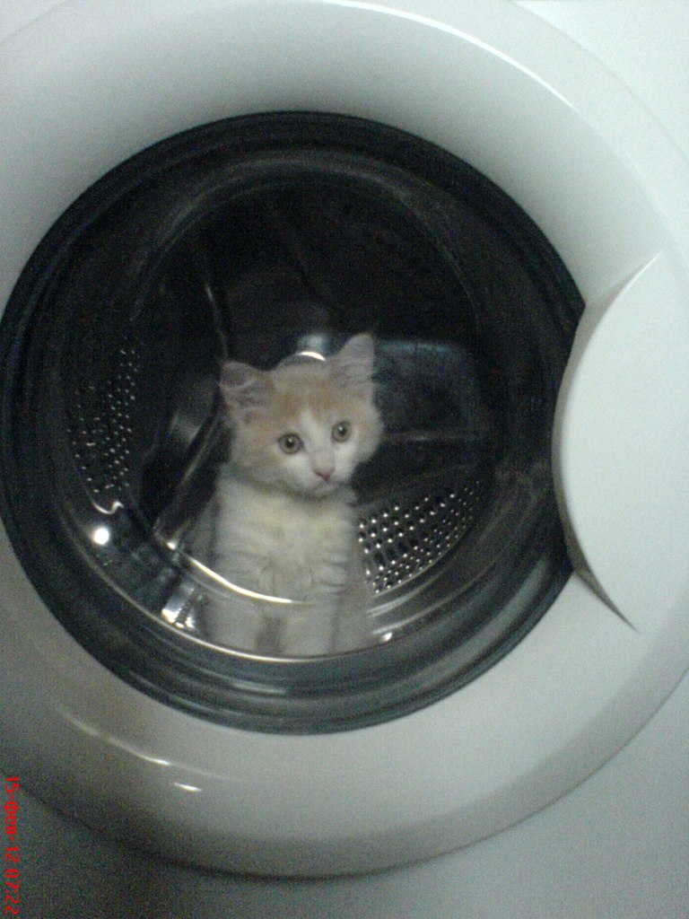 Евгений Сапченко | Вышгород