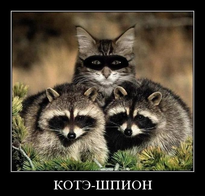 Наталия Давискиба Алексаша | Киев