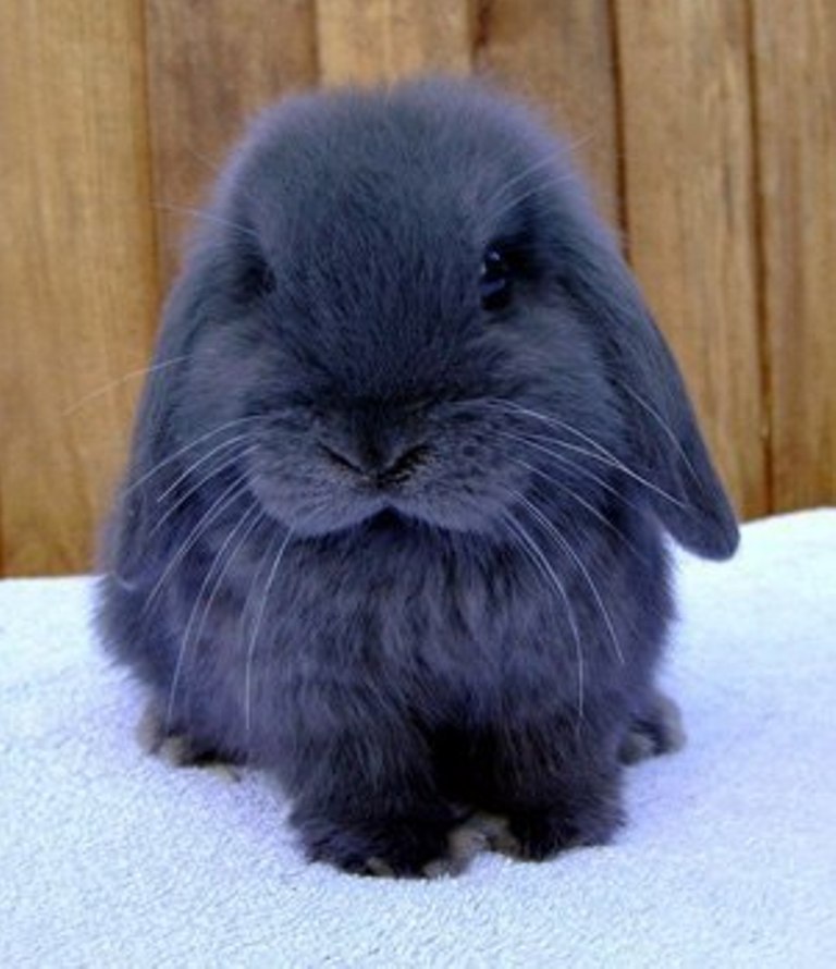 Ксения Алексеева | Пермь