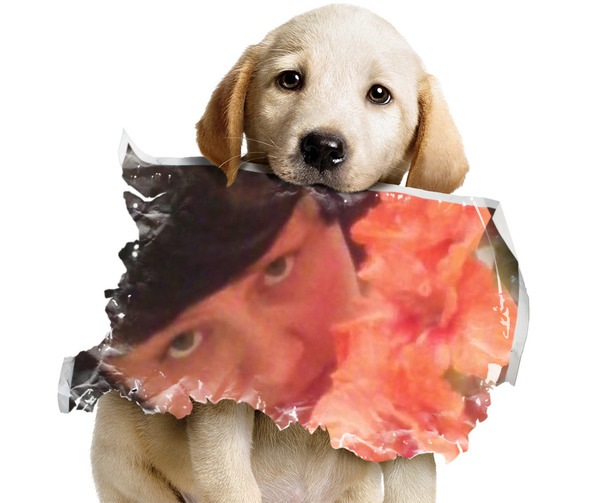 №8, Настёна Аносова, 37 лет, Киев №8, Настёна Аносова, 37 лет, Киев