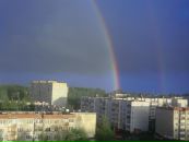 Фотография Елена Скрябина