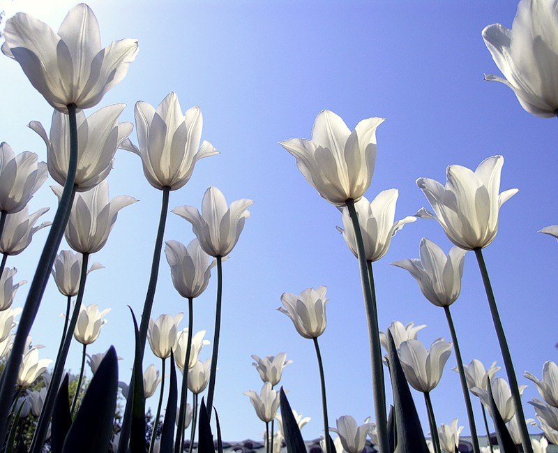 Александр Черновол ★трезвый как Зевс★ | Москва