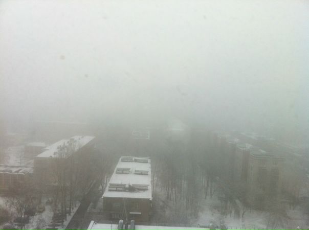 №87, Татьяна Цирульник, Санкт-Петербург №87, Татьяна Цирульник, Санкт-Петербург