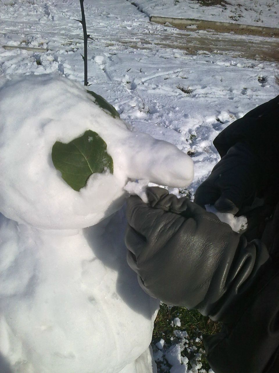 Валерия Фатихова .:Spirit:. | Севастополь