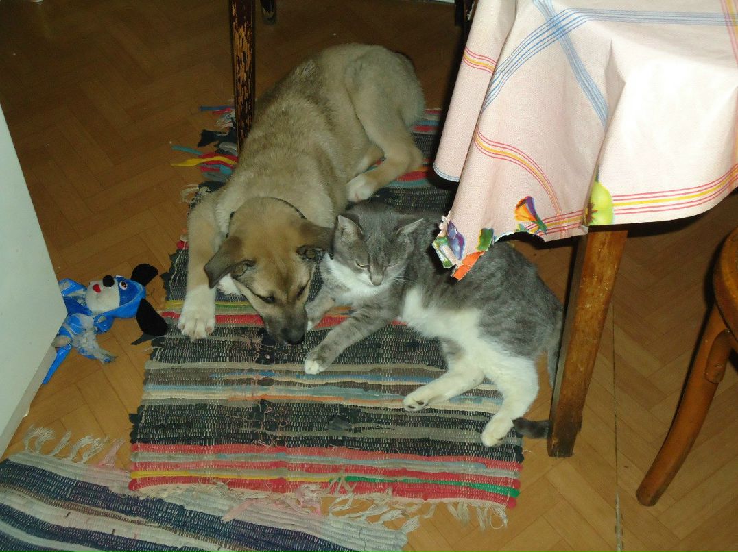 Владимир Квардаков | Москва