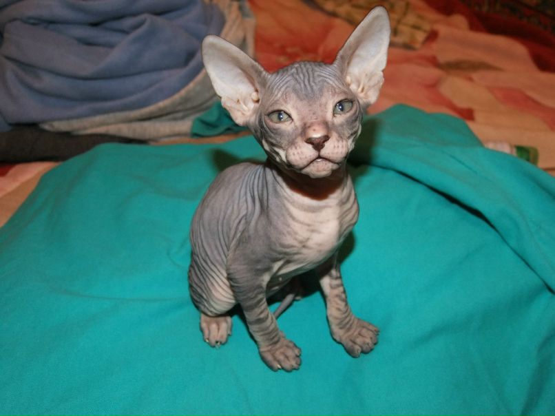 Мария Алексеева | Санкт-Петербург