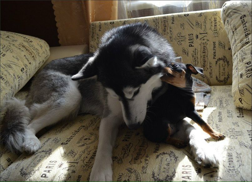 Марина Лебедева | Воронеж