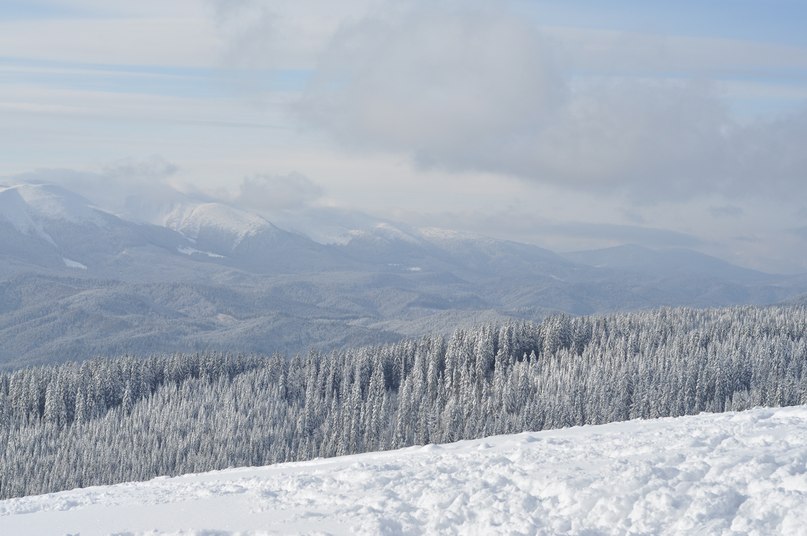 Ян Воскресенский | Киев