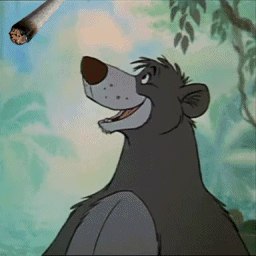 Максим Князев | Москва