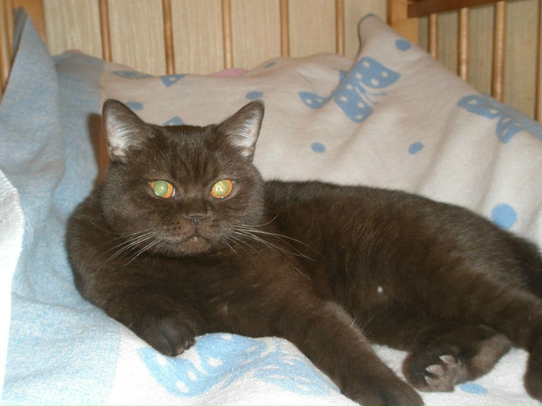 Анастасия Телючик Олеговна | Санкт-Петербург