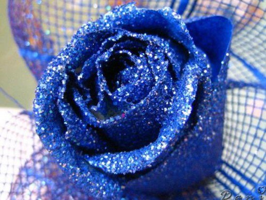 Ира Дорофеева | 