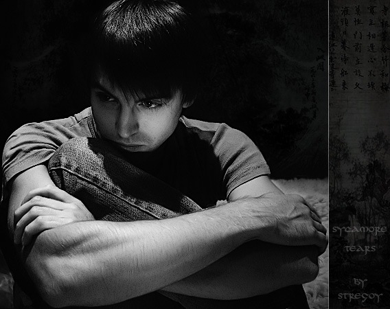 №87, Николай Смоков, Суворово №87, Николай Смоков, Суворово