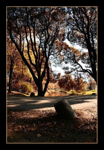 №146, Наталья Гажа, Харьков №146, Наталья Гажа, Харьков