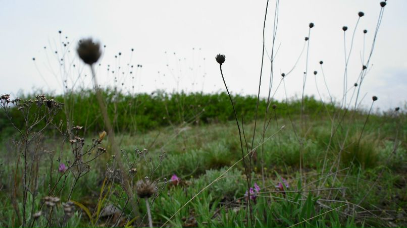 Михаил Болотов | Ростов-на-Дону