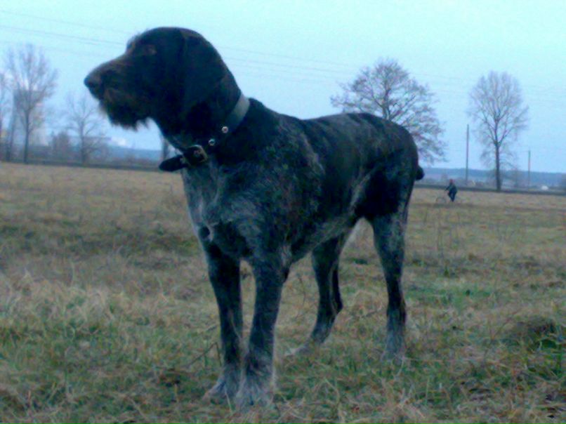 Танюша Ворфоломеева ( Трещева) | Севастополь